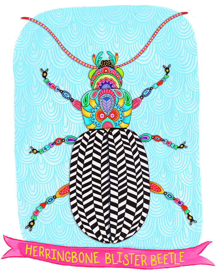 Insects Digital Art - Herringbone Blister Beetle Mounted by Hello Angel