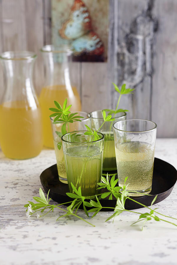 Hessian Wild Herb Punch With Woodruff Photograph by Anke Schtz