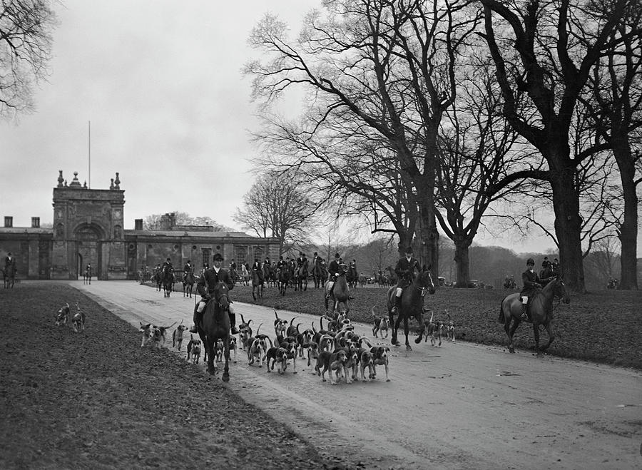 Heythrop Hounds Photograph by Kirby