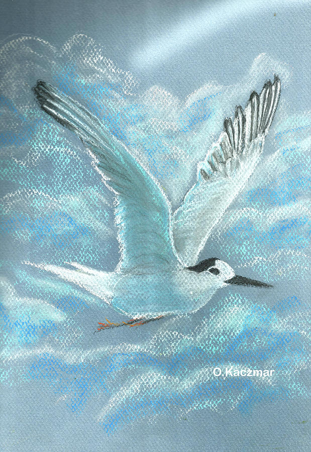 Hi-Flying Seagull Pastel by Olga Kaczmar