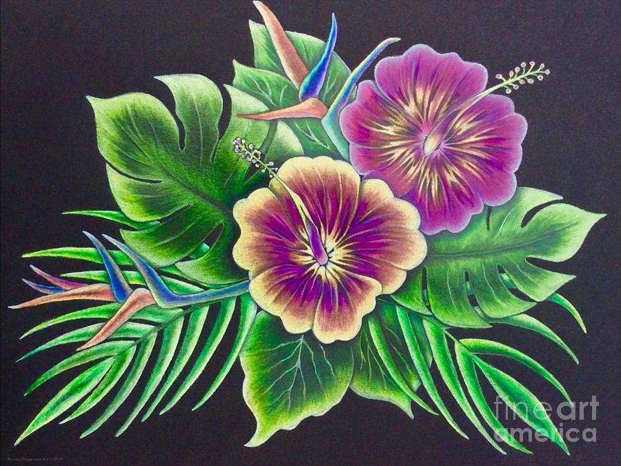 Original Hibiscus Breeze II Drawing by Breena Briggeman - Fine Art America