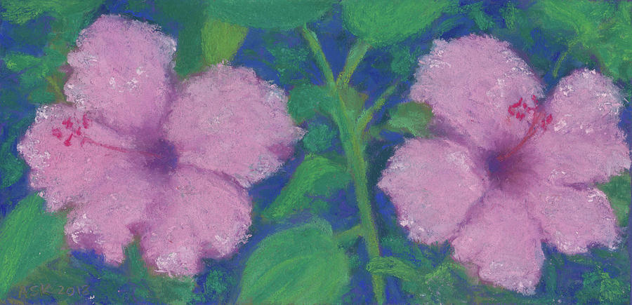 Hibiscus Enchantment Pastel