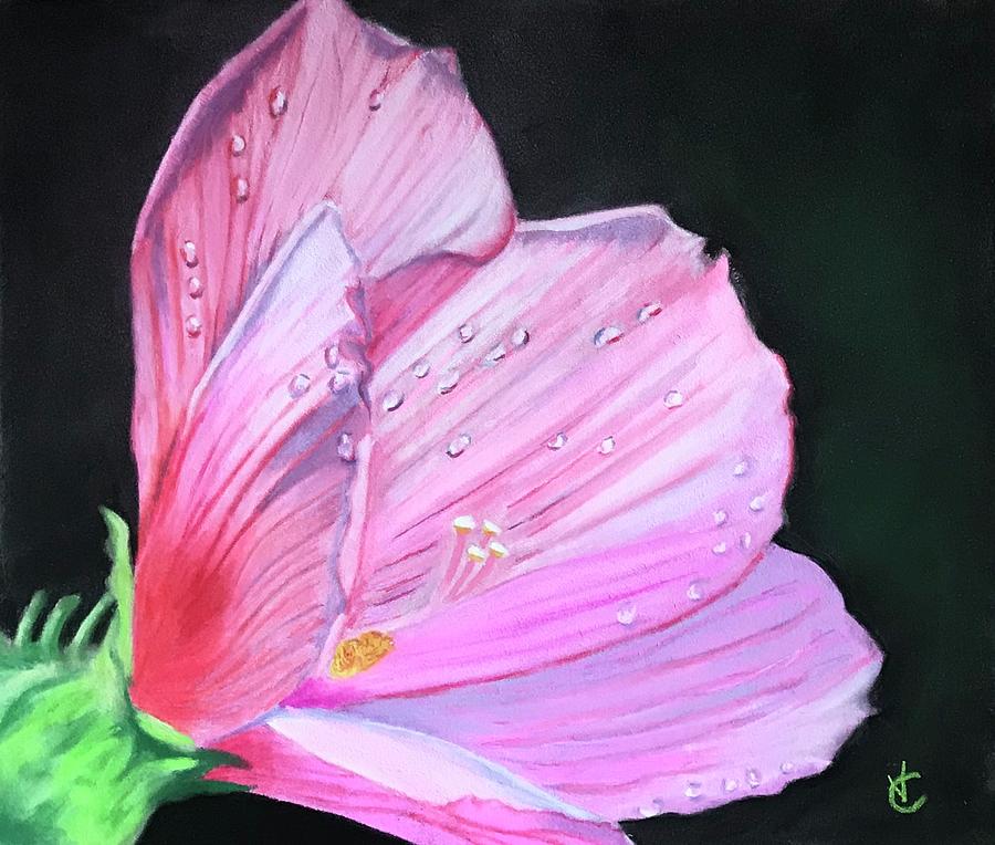 Hibiscus In Dew by Virginia Craig Hibiscus In Dew by Virginia Craig
