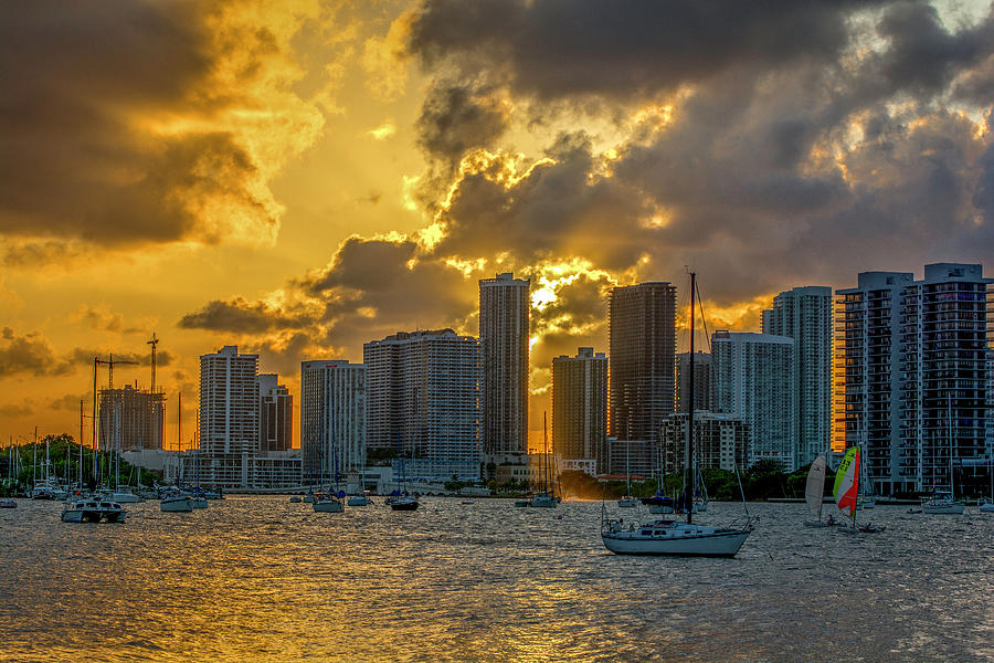 Hibiscus Island Photograph by Manuel Lopez | Fine Art America