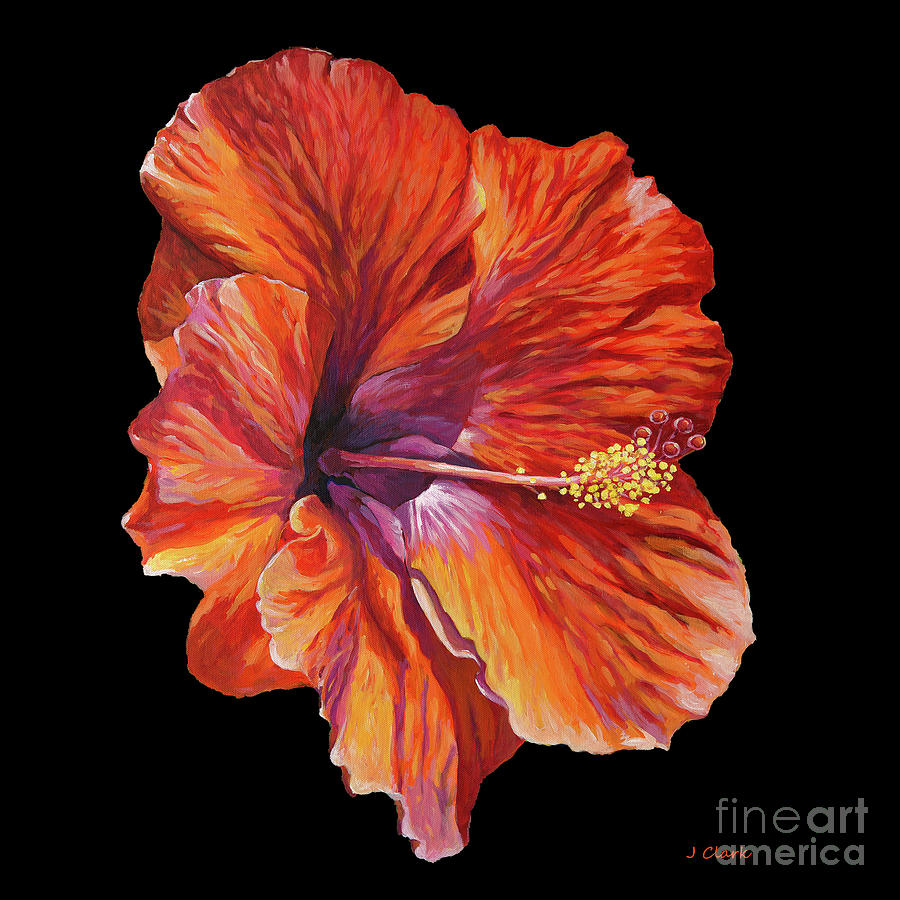 Hibiscus Painting - Hibiscus On Black Square by John Clark Hibiscus Painting - Hibiscus On Black Square by John Clark
