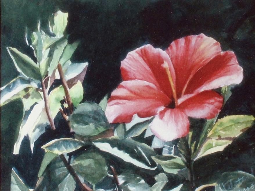 Hibiscus Painting by Patricia Halstead
