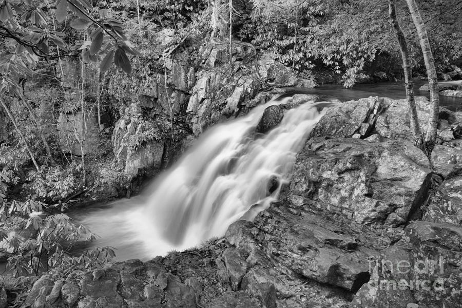 Hickory Run Falls Black And White Photograph by Adam Jewell