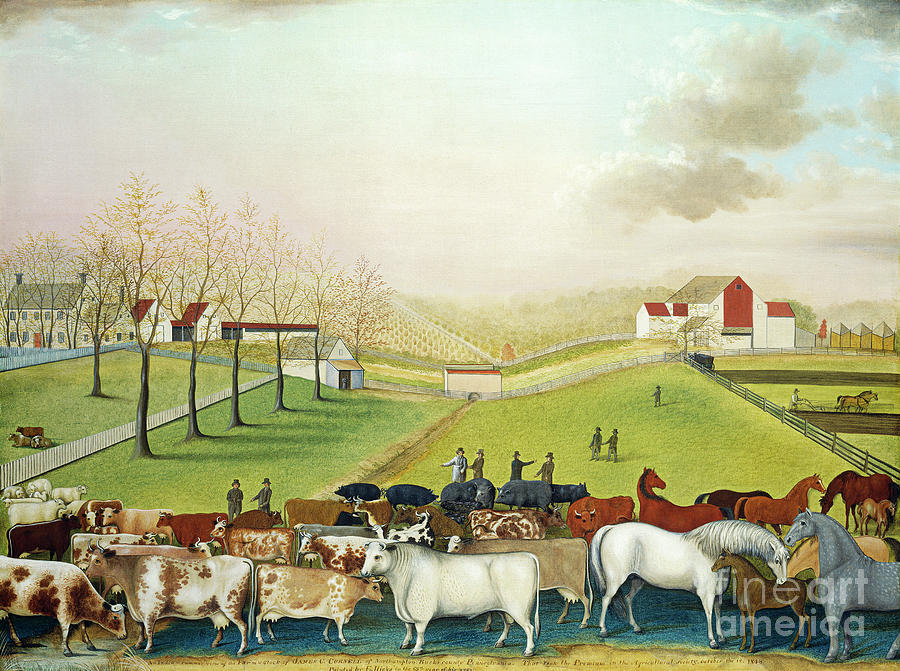 Hicks, Cornell Farm, 1848 Painting by Granger