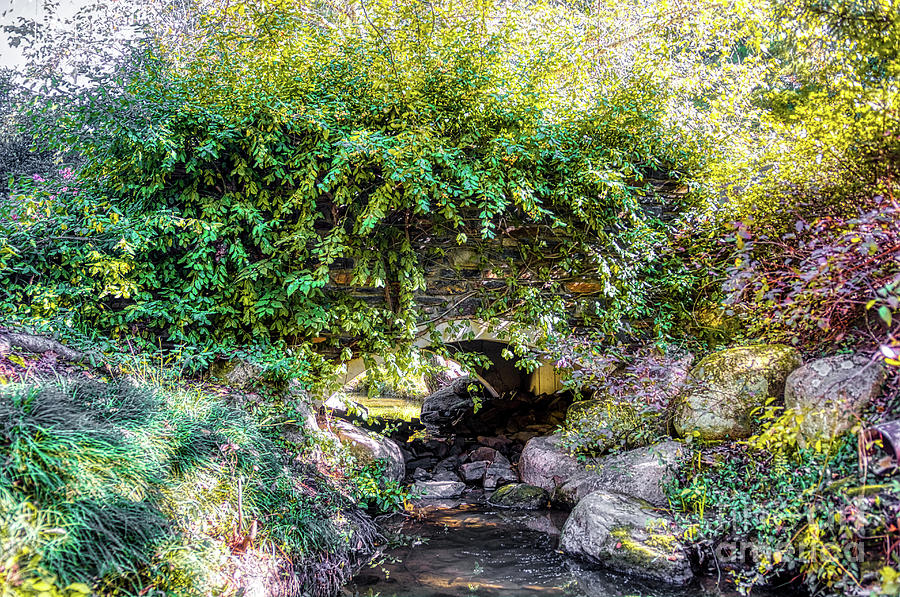 Hidden Bridge by James Foshee Hidden Bridge by James Foshee
