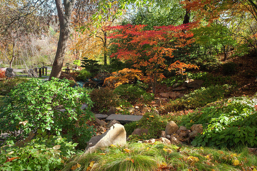 Hidden Corner Of Japanese Garden 1 Photograph by Jenny Rainbow