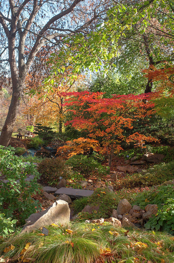 Hidden Corner of Japanese Garden Photograph by Jenny Rainbow