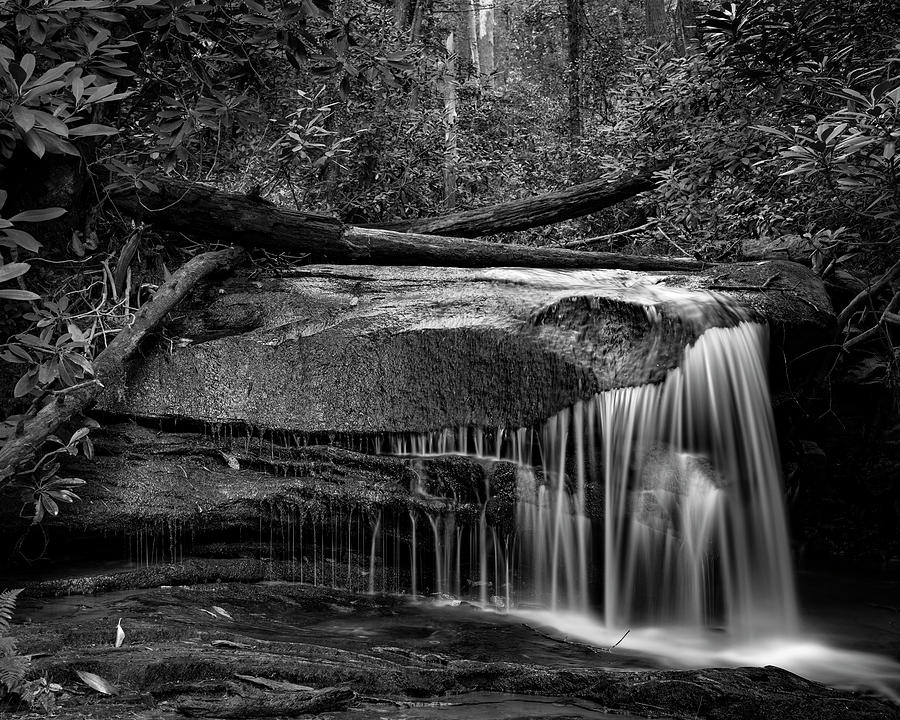 Hidden Dragon by Patrick M Lynch Hidden Dragon by Patrick M Lynch
