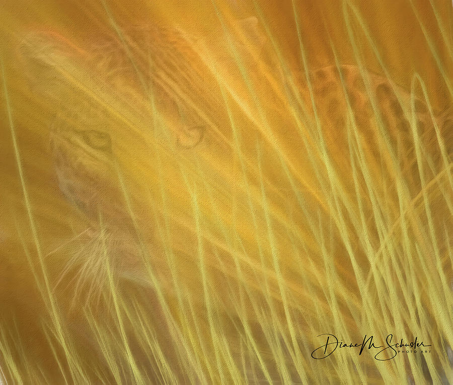 Leopard Photograph - Hidden In The Grass by Diane Schuster
