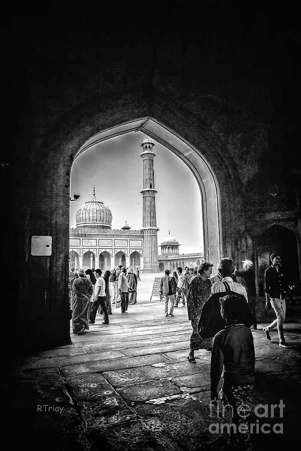 Hidden in the Taj Mahal Photograph by Rene Triay FineArt Photos