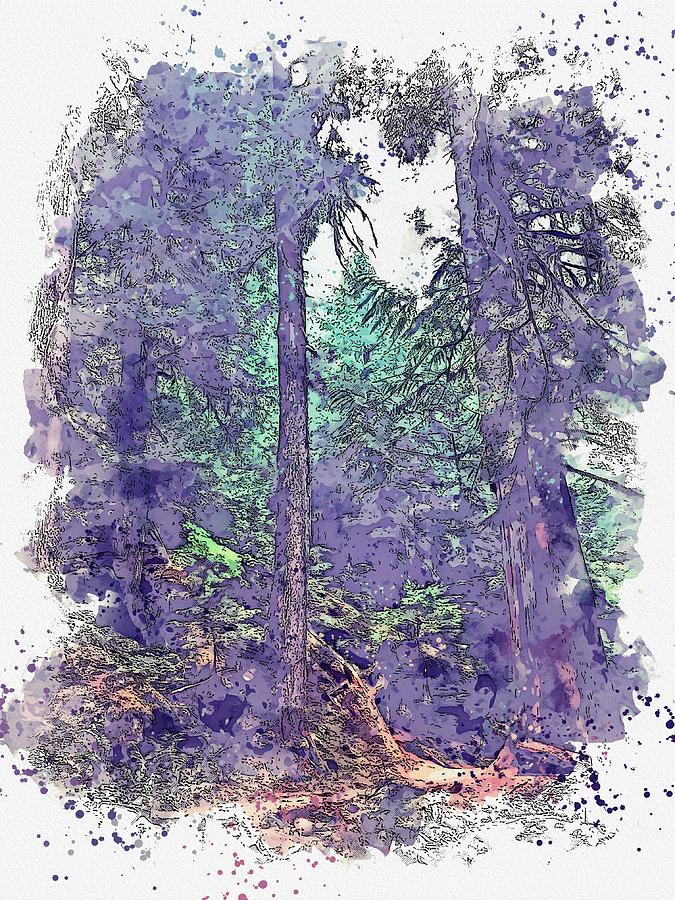 Hidden path in the forest watercolor by Ahmet Asar Painting by Celestial Images