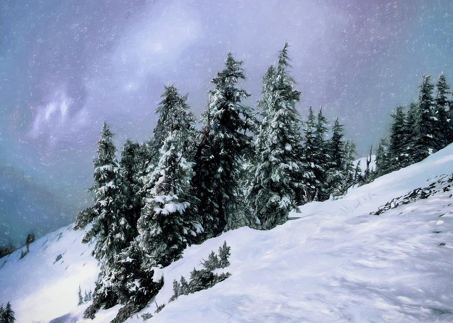 Winter Photograph - Hidden Peak by Jim Hill