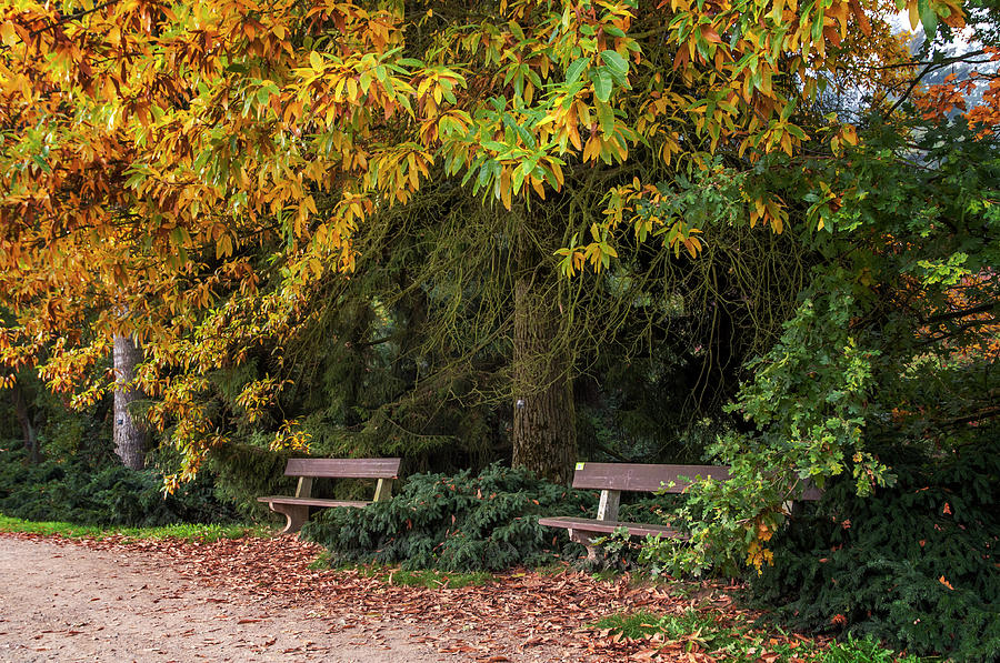 Hidden Romantic Corner in Autumn Time Photograph by Jenny Rainbow