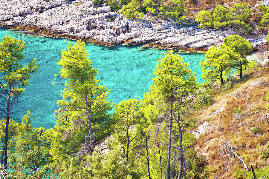 Hidden turquoise bay on Brac island coast Photograph by Brch Photography