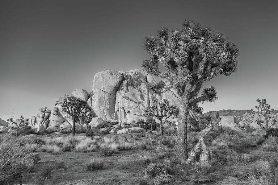 Joshua Tree National Park Photograph - Hidden Valley Rock by Peter Tellone