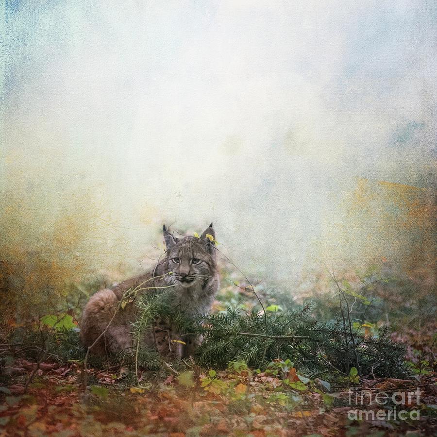 Wildlife Mixed Media - Hide and Seek by Eva Lechner