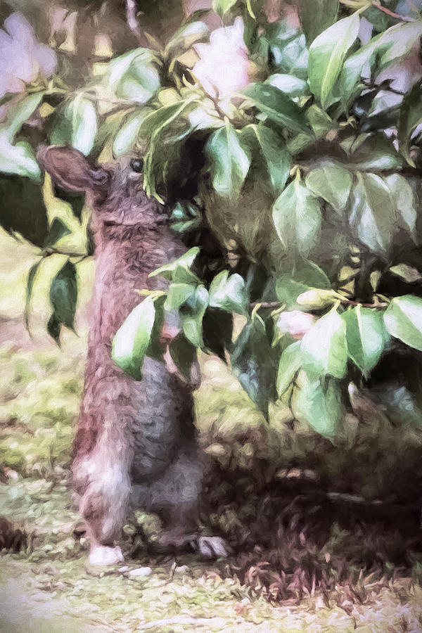 Hiding Eggs by Belinda Greb Hiding Eggs by Belinda Greb