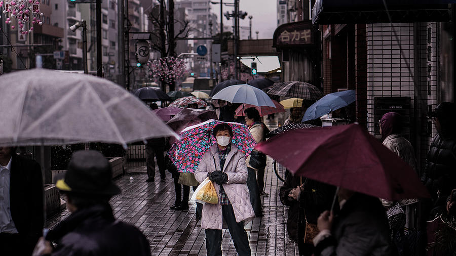 Umbrella Photograph - Hiding From Rain by Vinokurov Yury