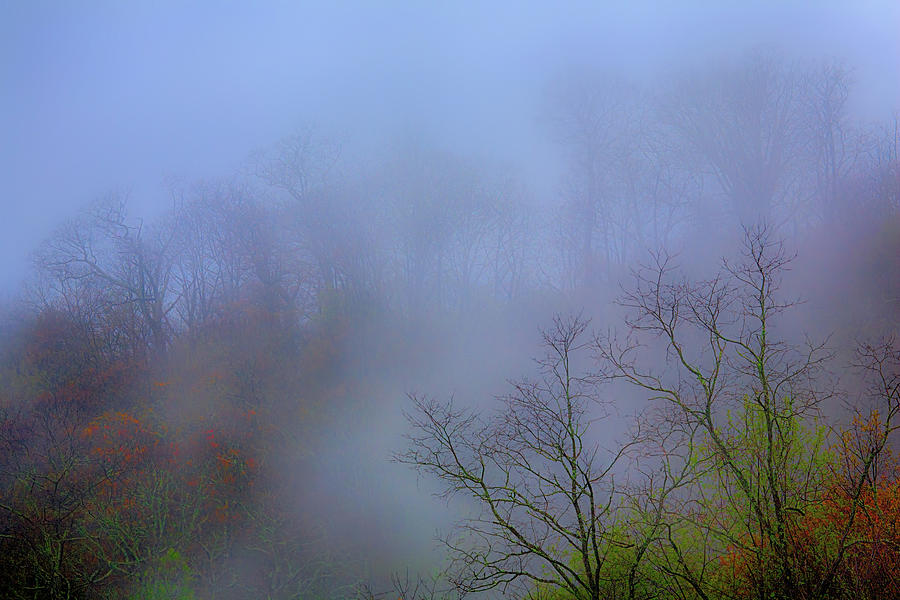 Hiding Inside the Fog Photograph by Dan Carmichael