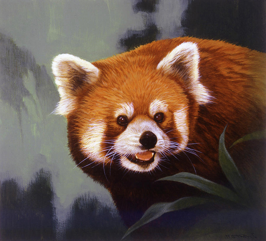 Red Panda Painting - Hiding Out by Joh Naito