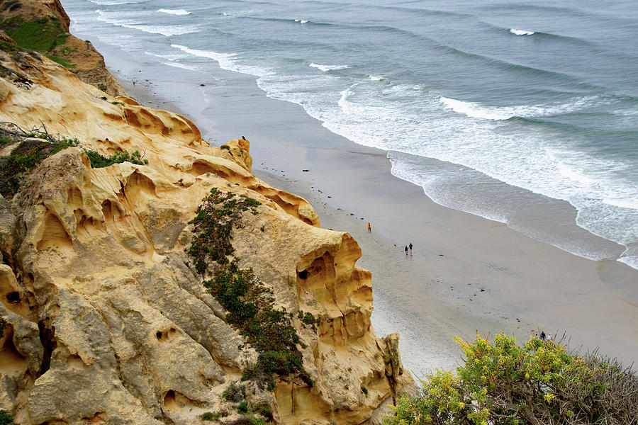Active Photograph - High Above The Beach At Torrey Pines by Gloria Moeller Active Photograph - High Above The Beach At Torrey Pines by Gloria Moeller