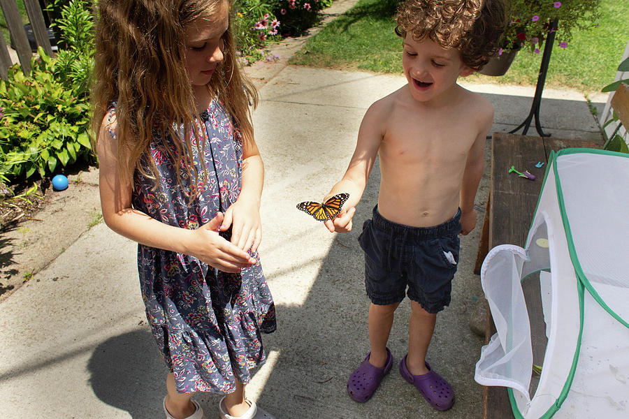 Butterfly Photograph - High Angle View Of Boy Holding A Monarch Butterfly While Standing In His Yard by Cavan Images