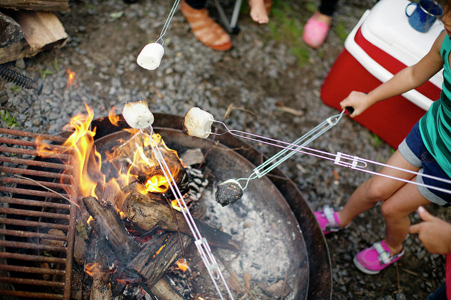 Marshmallow Photograph - High Angle View Of Kids Roasting Marshmallows by Cavan Images