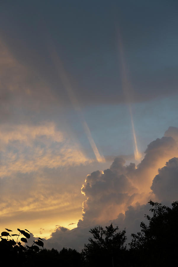 High Beams Photograph by Lucas Photography | Fine Art America