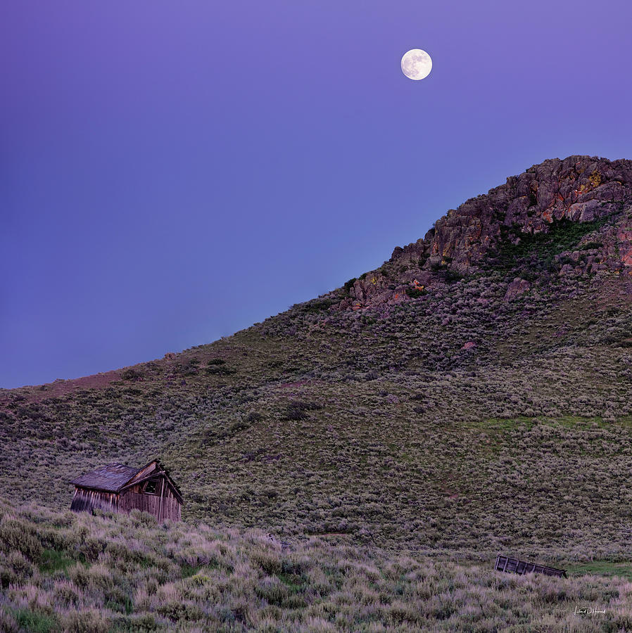 High Desert Moonrise Photograph by Leland D Howard