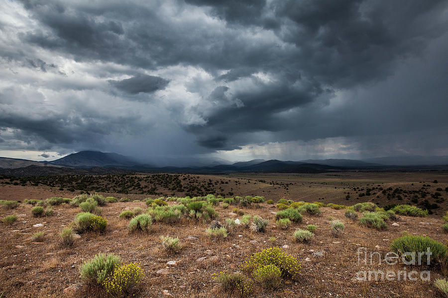 High Desert Storm Clouds 2 Photograph By Webb Canepa