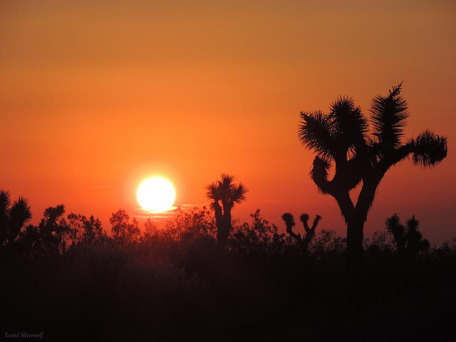 High Desert Sunrise 8-1-2014 Photograph by Enaid Silverwolf