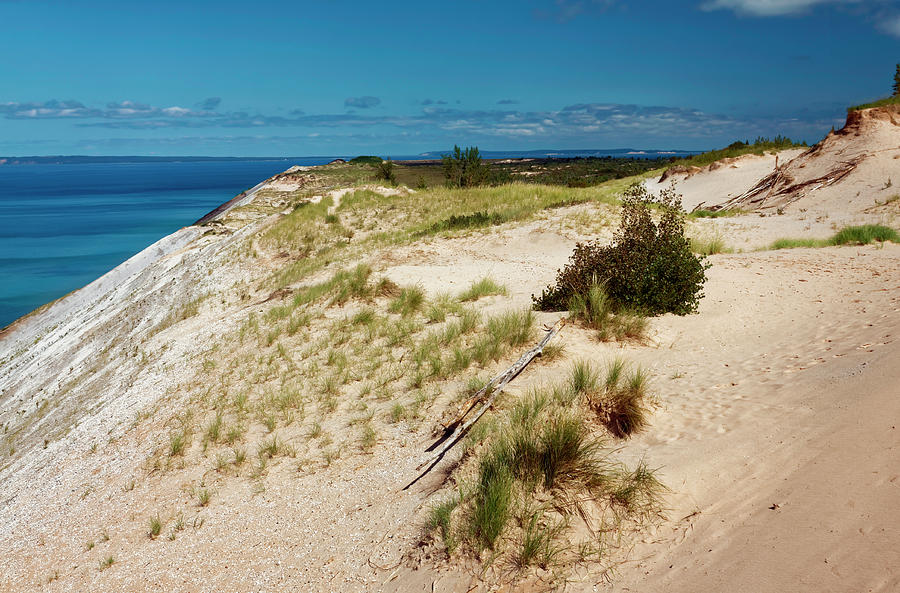 High Dune and Lake Michigan Photograph by Sally Weigand