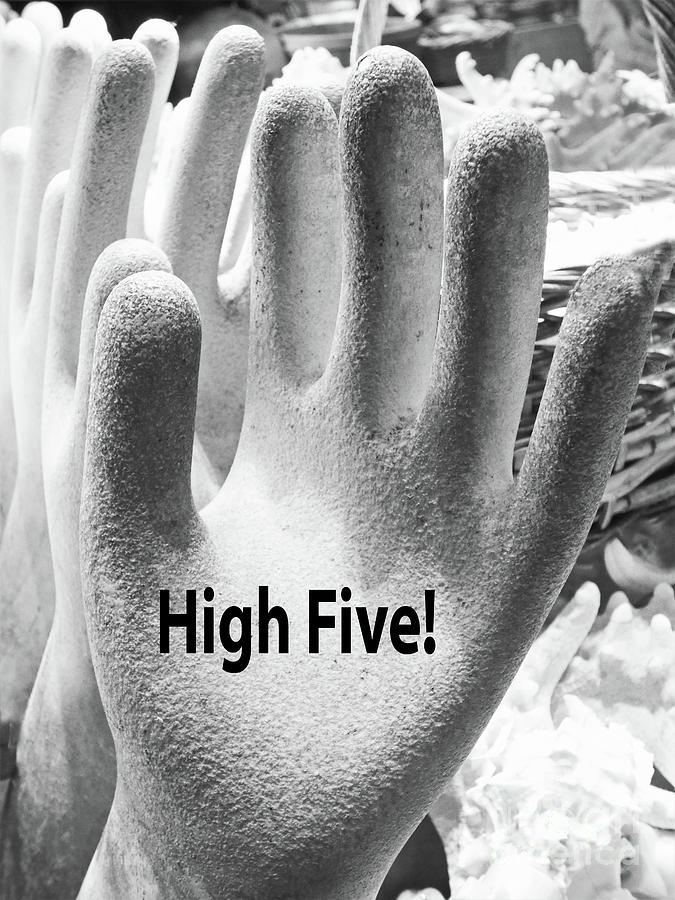 High Five Poster Photograph by Sharon Williams Eng