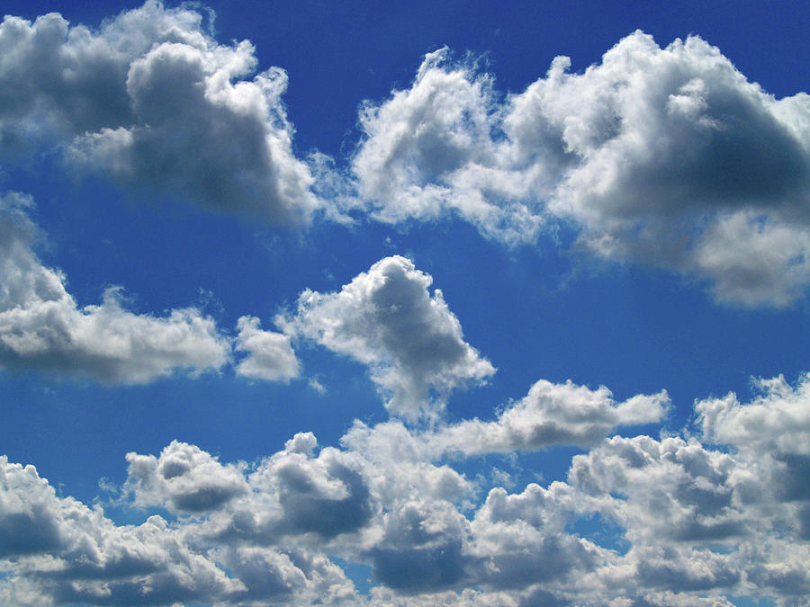 High in the Sky by Luc Van de Steeg High in the Sky by Luc Van de Steeg