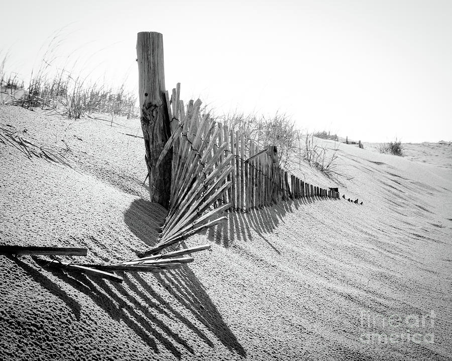 High Key Dunes and Fence Black and White Coastal Landscape Photograph Photograph by PIPA Fine Art - Simply Solid