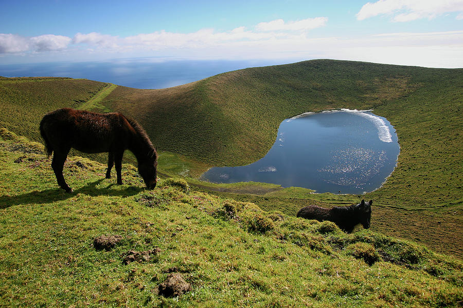 High Lake On Pico Island Photograph by Photo ©tan Yilmaz