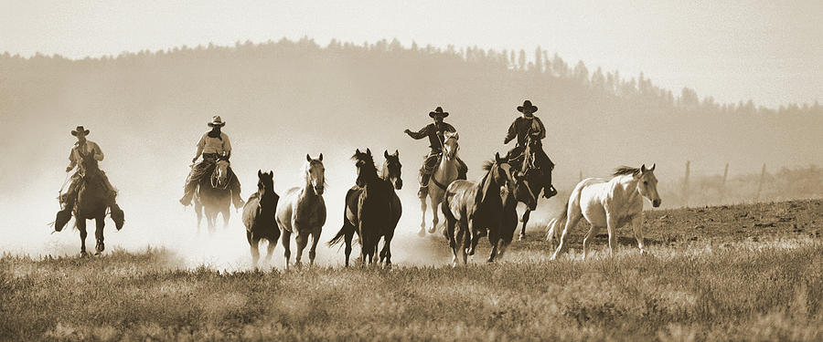 High Plains Horse Drive Photograph by Don Schimmel