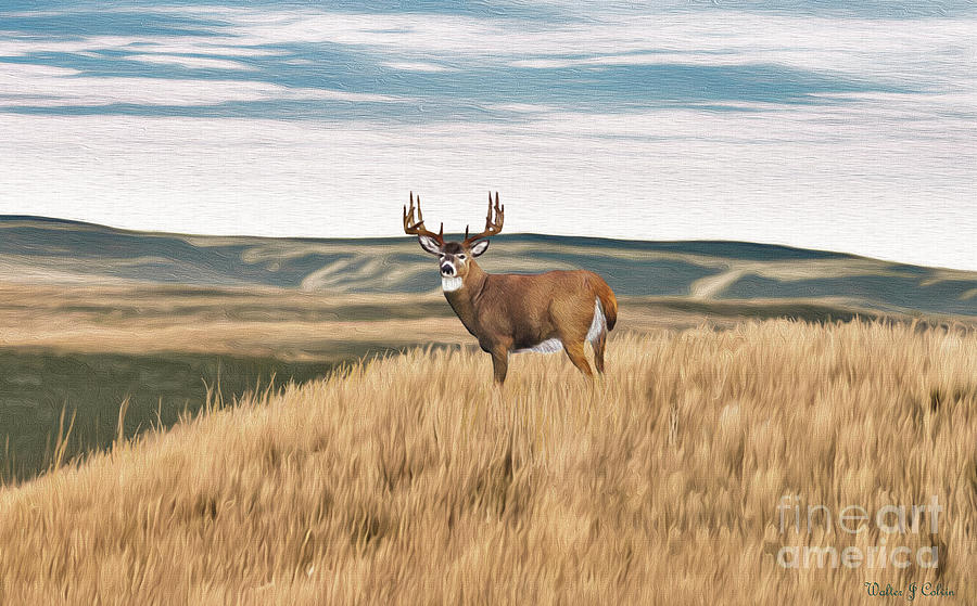 High Prairie Deer Digital Art by Walter Colvin