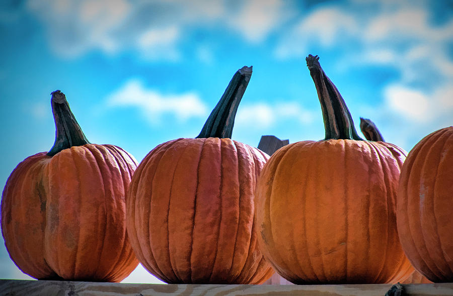 High Pumpkins Photograph by Cathy Kovarik