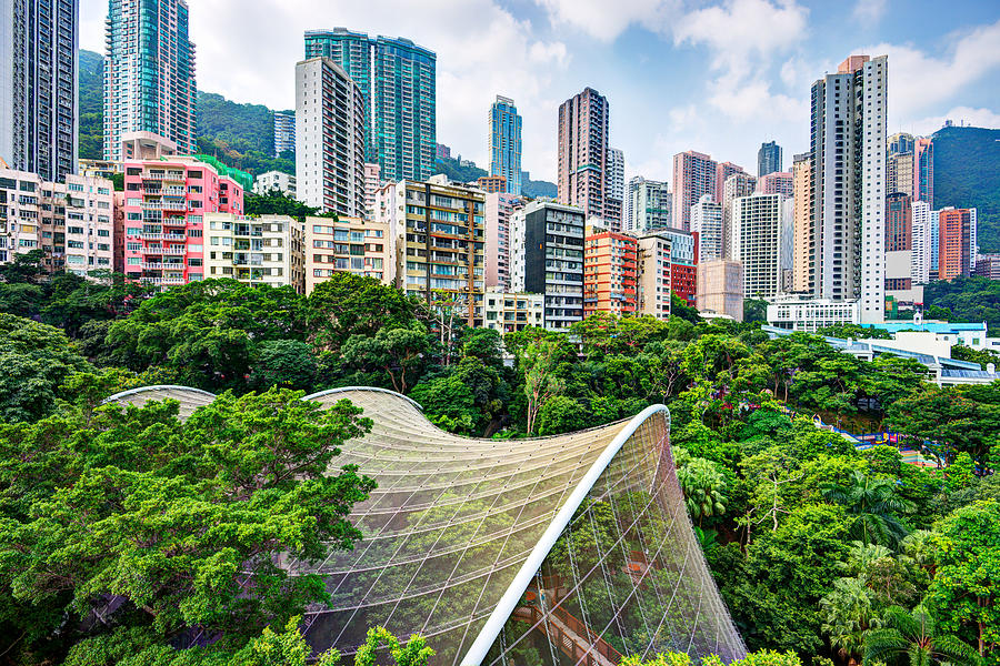 Tree Photograph - High Rise Apartments Above Hong Kong by Sean Pavone