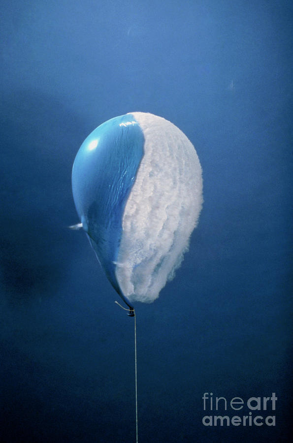 High Speed Photo Of Air Gun Pellet Ripping Balloon Photograph by Jonathan Watts/science Photo Library