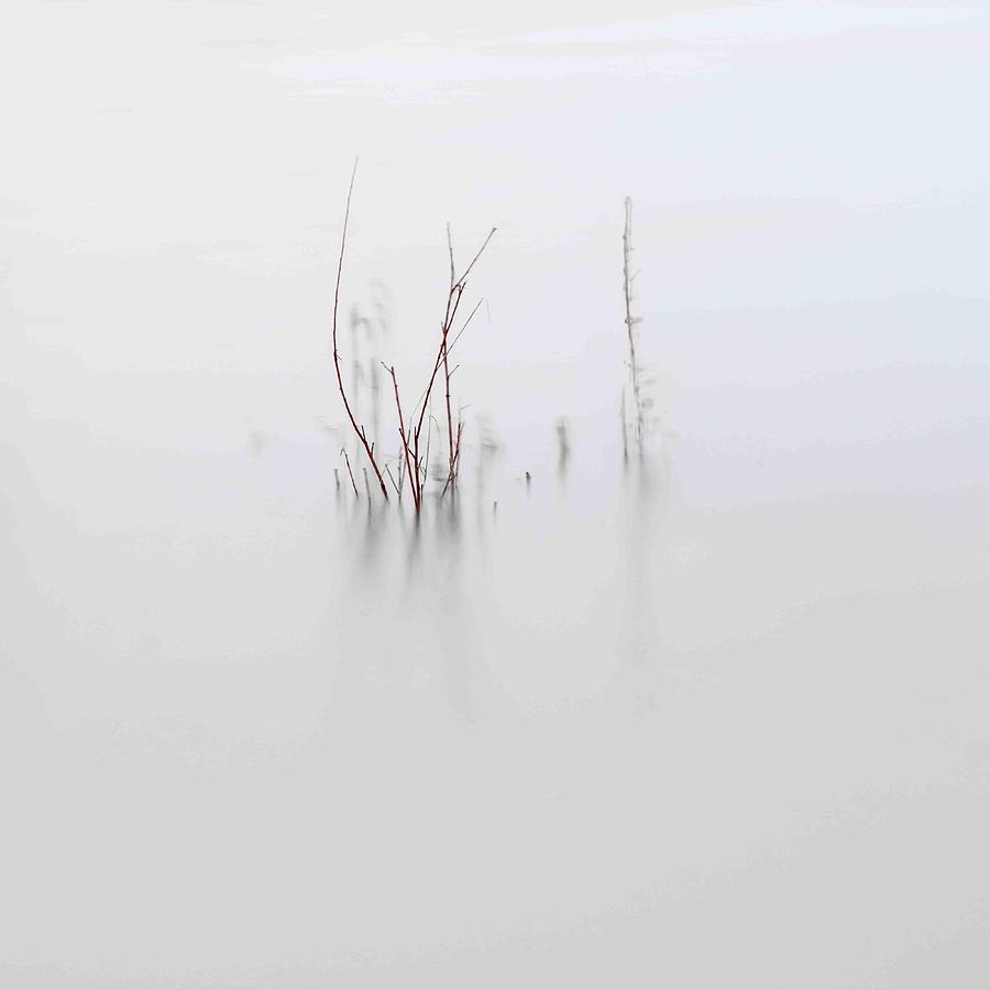 Landscape Photograph - High Water by Fred Louwen