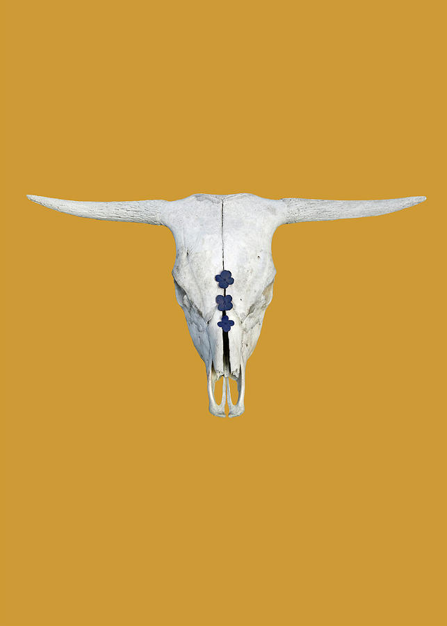 Highland Cattle Skull on Mustard Yellow with Navy Photograph by Brooke T Ryan