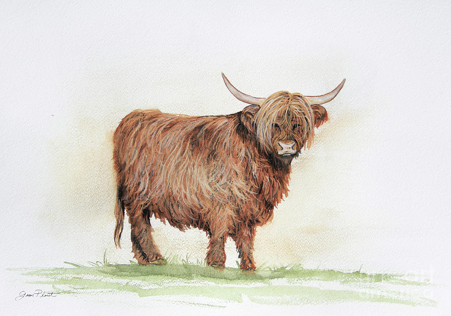 Highland Cow In Watercolor Painting by Jean Plout