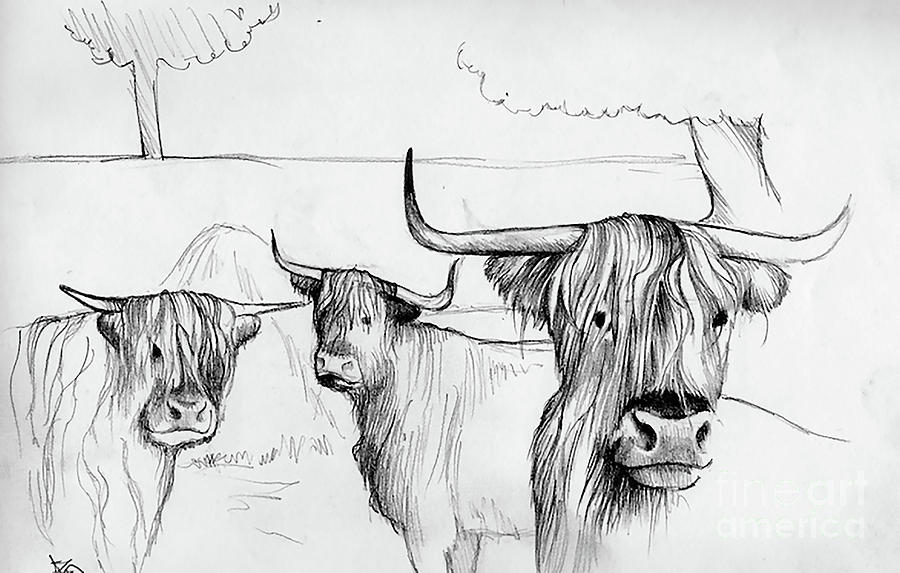 Pencil Drawing Of Cows In A Field | Artificial Design