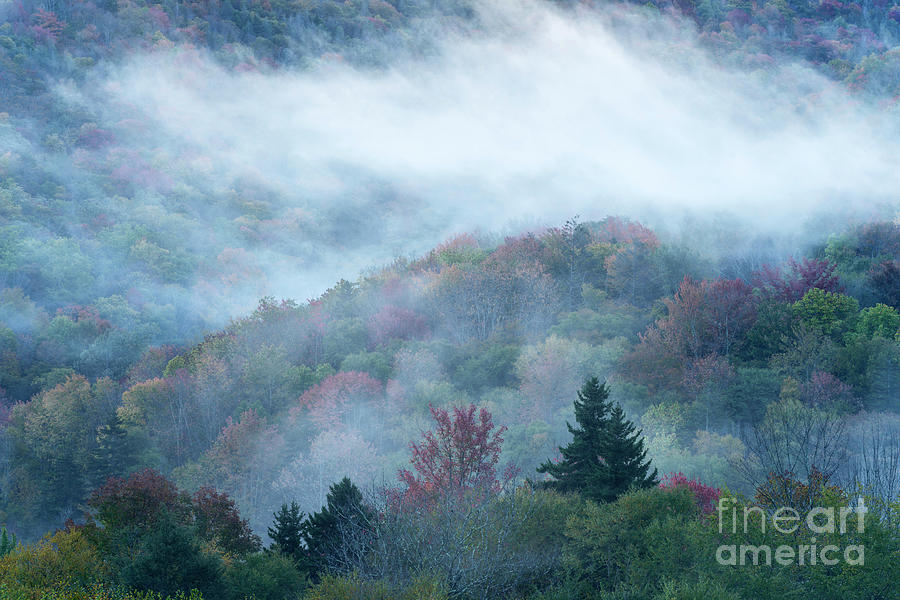 Highland Mist Photograph by Thomas R Fletcher